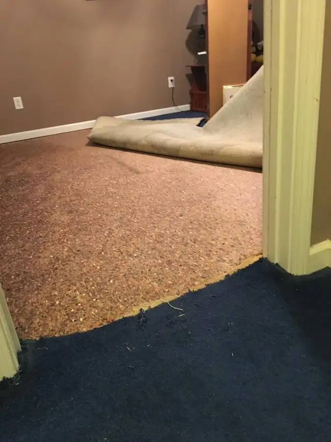 Carpet pad removal revealing water damage during Drying & Dehumidification in Hendersonville